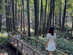 -波尔登森林公园