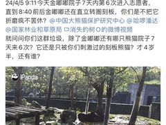 -都江堰中华大熊猫苑