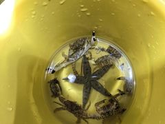 -三亚太阳湾柏悦酒店