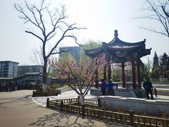 -西海子公园