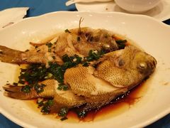-老淳安—伴山伴湖(千岛湖开元度假村店)