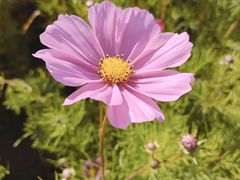 -长春公园(普阳街道)