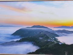 -黑河坝泡姜鸡贡椒鱼(贾旗路店)