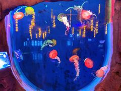 -威海华夏城景区