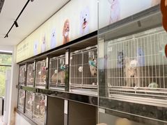 -翊宠yipet猫狗购宠庄园