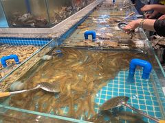 -一方渔歌蒸汽海鲜自助(文化路万达广场店)