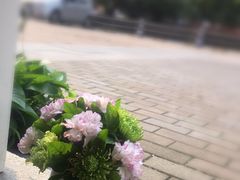 iphone_upload_pic-杭州街角花屋花店(闻堰店)