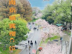-南京城墙景区
