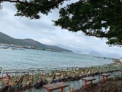 -南丫岛