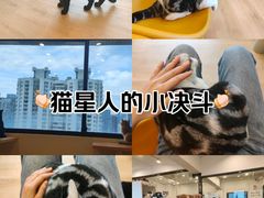 -有喵·猫咖·狗咖·30几只猫10只小狗(岗厦店)