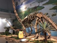 -自贡恐龙博物馆