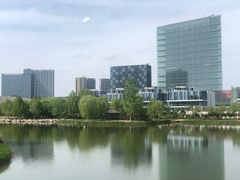 -大兴滨河森林公园