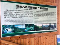 -野象谷景区