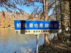 -上海海湾国家森林公园