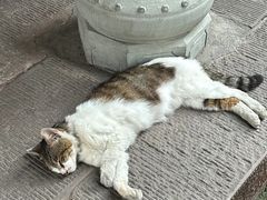 -成都市文殊院