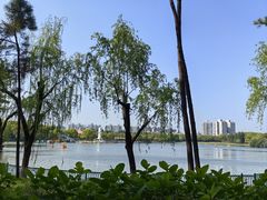 -黄兴公园