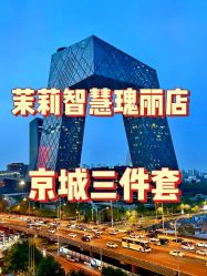 -茉莉智慧母婴护理中心(瑰丽店)