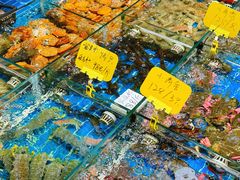 -船奇蒸汽海鲜·闽菜(八市海鲜总店)