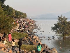 -深圳湾公园(南山区)