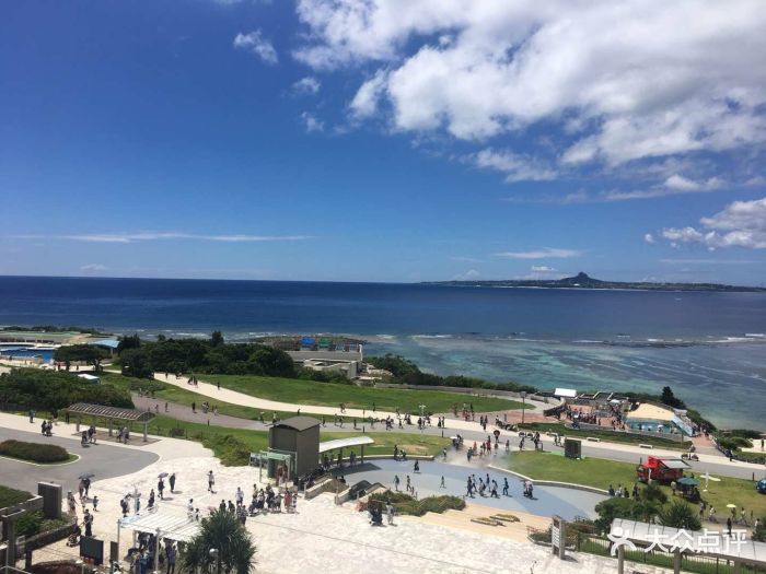 沖繩美麗海水族館-圖片-沖繩景點門票-大眾點評網