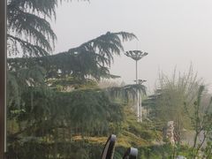 -南郊宾馆·风味自助餐厅·山东十六地市特色菜
