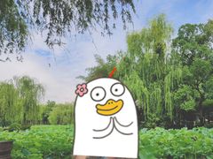 -老桂湖公园-杨升庵博物馆