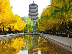 -玲珑塔公园