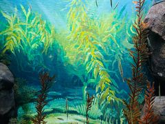 -上海海洋水族馆