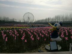 -云幽谷旅游区