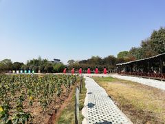 -武汉紫薇都市田园