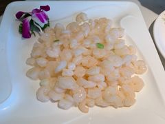 清炒河虾仁-花园茶楼(兴城西路店)