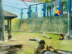 -大连森林动物园