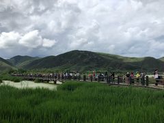 -泸沽湖国家级风景名胜区走婚桥