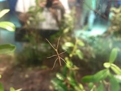 -上海昆虫博物馆