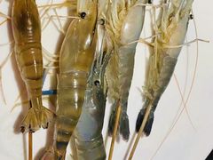 -千岛蚝高压锅生蚝·人参火锅(白云万达店)