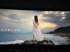 -新影联·华谊兄弟影院(望京店)