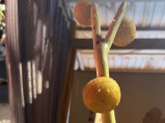 -锦上中式酒馆(南内环店)