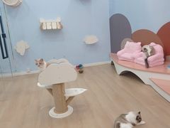 -1013 PET SHOP 宠物商店(近铁城市广场店)