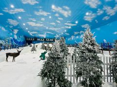 -世界之窗阿尔卑斯冰雪世界