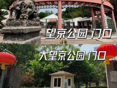 -大望京公园