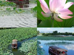 -江门古劳水乡旅游区