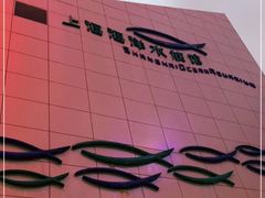 -上海海洋水族馆