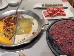 -渝大龙重庆火锅(温泉月亮湾店)