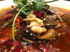 -蝶园·装修中(BFC外滩金融中心店)