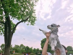 -艾溪湖湿地公园