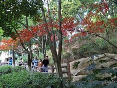 -百林公园-两江幸福广场