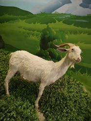 -酷嗒动物文化乐园(cutezoo西溪乐天城店)