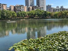 -宝岛公园