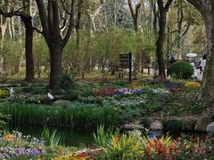 -上海共青森林公园