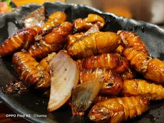 -丹东特色烤肉(学府路一部店)